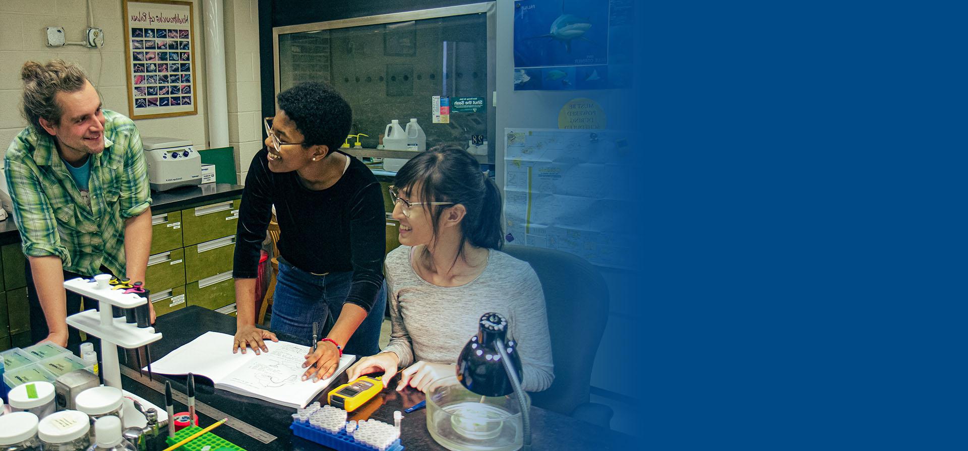 Researchers working in a lab.